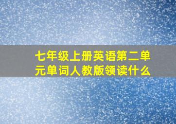 七年级上册英语第二单元单词人教版领读什么