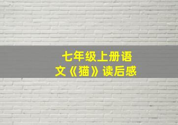 七年级上册语文《猫》读后感