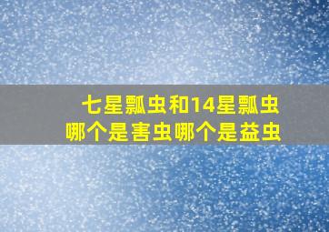 七星瓢虫和14星瓢虫哪个是害虫哪个是益虫