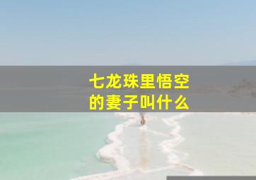 七龙珠里悟空的妻子叫什么