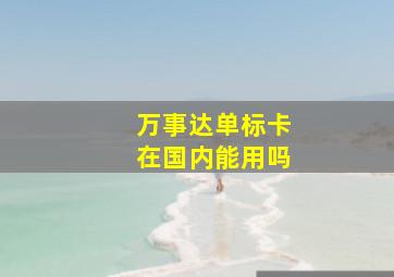 万事达单标卡在国内能用吗