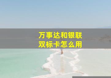 万事达和银联双标卡怎么用