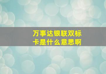 万事达银联双标卡是什么意思啊