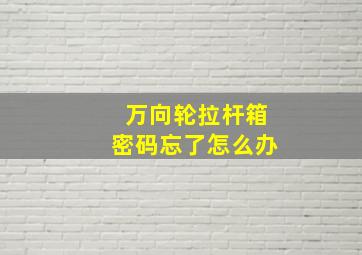 万向轮拉杆箱密码忘了怎么办