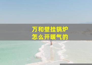 万和壁挂锅炉怎么开暖气的