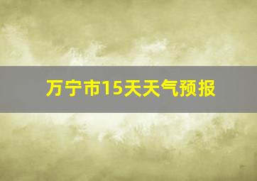 万宁市15天天气预报