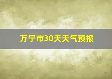 万宁市30天天气预报