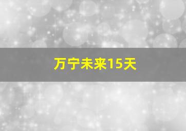 万宁未来15天