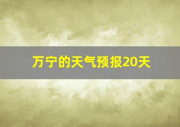 万宁的天气预报20天