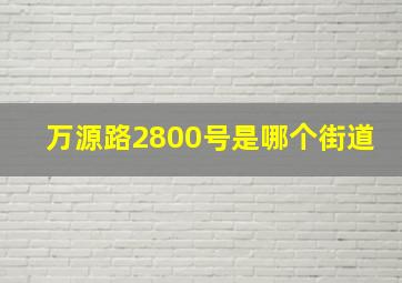 万源路2800号是哪个街道