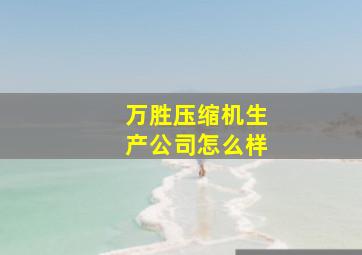 万胜压缩机生产公司怎么样