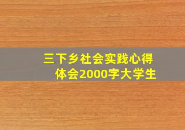 三下乡社会实践心得体会2000字大学生