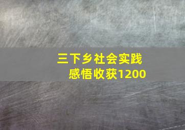 三下乡社会实践感悟收获1200