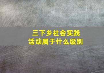 三下乡社会实践活动属于什么级别