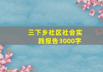 三下乡社区社会实践报告3000字