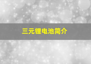 三元锂电池简介