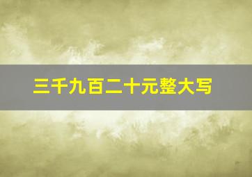 三千九百二十元整大写