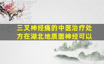 三叉神经痛的中医治疗处方在湖北地质面神经可以