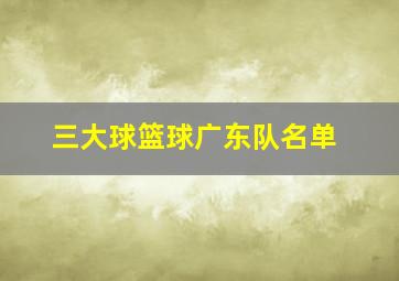 三大球篮球广东队名单