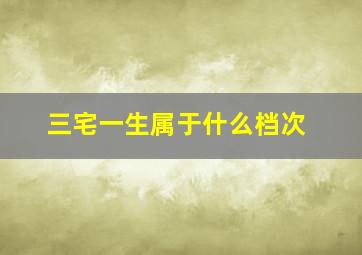 三宅一生属于什么档次