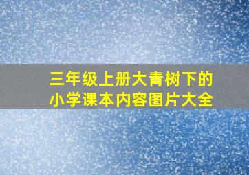 三年级上册大青树下的小学课本内容图片大全