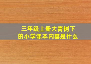 三年级上册大青树下的小学课本内容是什么