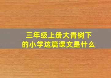 三年级上册大青树下的小学这篇课文是什么