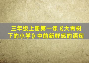 三年级上册第一课《大青树下的小学》中的新鲜感的语句