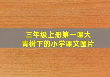 三年级上册第一课大青树下的小学课文图片