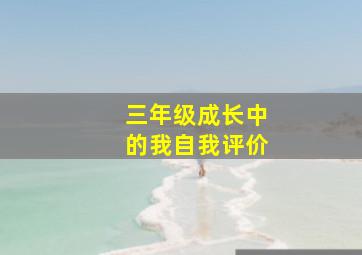 三年级成长中的我自我评价