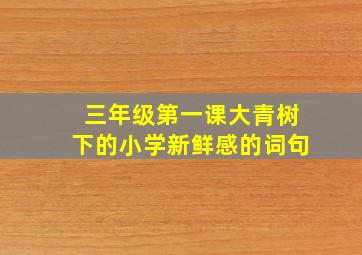 三年级第一课大青树下的小学新鲜感的词句