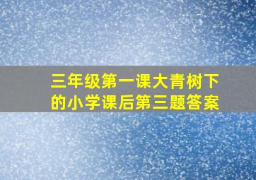 三年级第一课大青树下的小学课后第三题答案