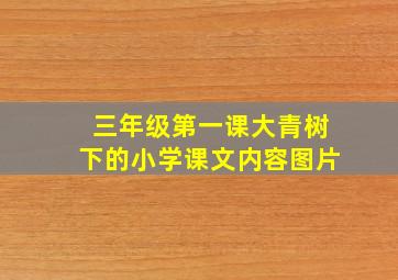 三年级第一课大青树下的小学课文内容图片