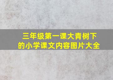 三年级第一课大青树下的小学课文内容图片大全