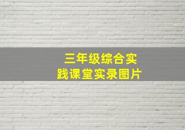 三年级综合实践课堂实录图片