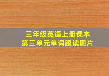 三年级英语上册课本第三单元单词跟读图片