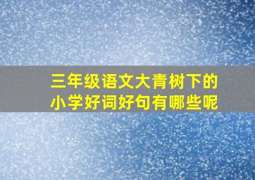 三年级语文大青树下的小学好词好句有哪些呢