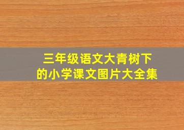 三年级语文大青树下的小学课文图片大全集