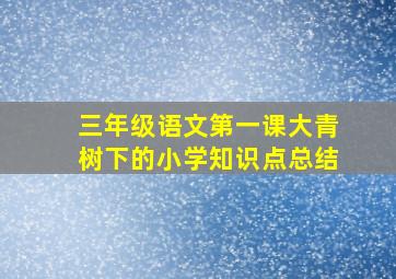 三年级语文第一课大青树下的小学知识点总结