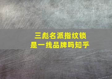 三彪名派指纹锁是一线品牌吗知乎