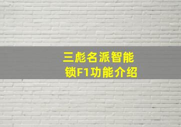 三彪名派智能锁F1功能介绍