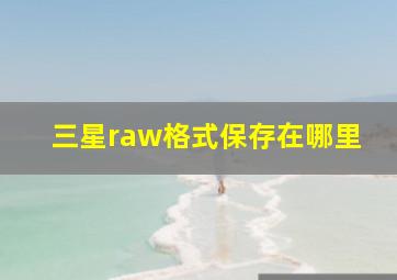 三星raw格式保存在哪里