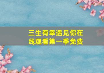 三生有幸遇见你在线观看第一季免费