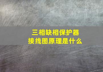 三相缺相保护器接线图原理是什么