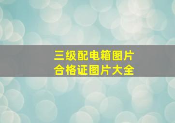 三级配电箱图片合格证图片大全