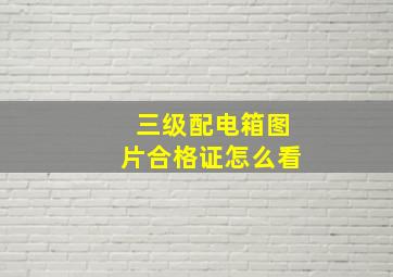 三级配电箱图片合格证怎么看