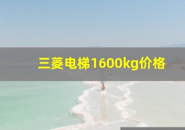 三菱电梯1600kg价格