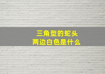 三角型的蛇头两边白色是什么