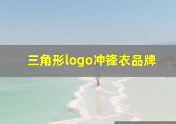 三角形logo冲锋衣品牌