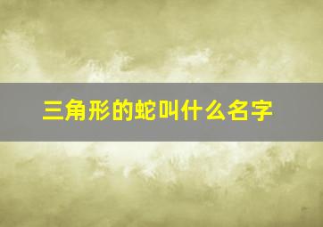 三角形的蛇叫什么名字